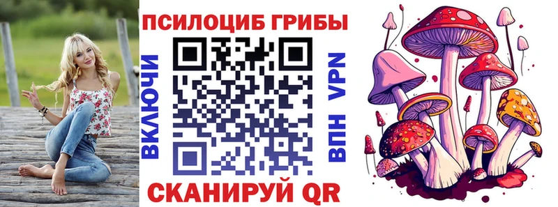 что такое наркотик  Вихоревка  Псилоцибиновые грибы Psilocybe 